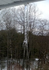 courtesy of Joann Pensabene March 2013