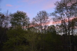 photo by Joann Pensabene